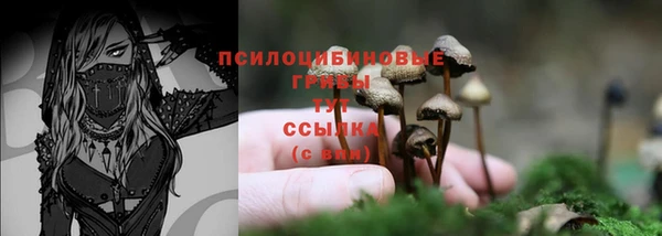 дурь Абаза